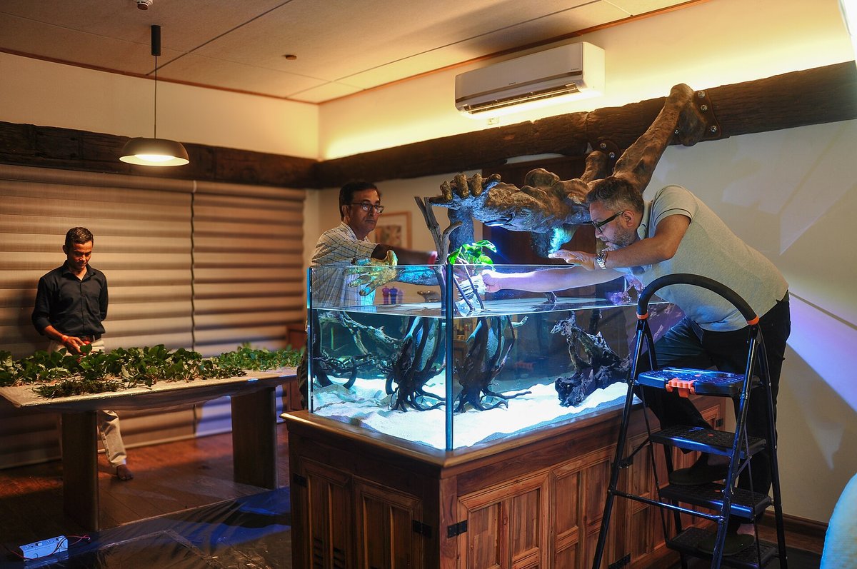 Aquascaping: montaje de un acuario plantado antes del ciclado