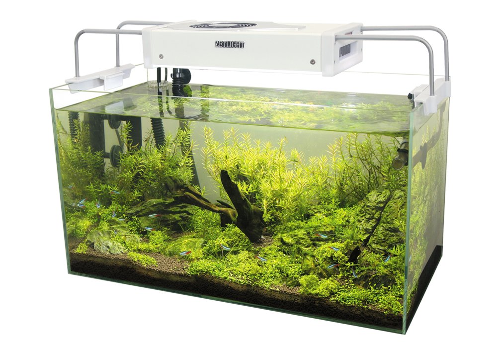 Pantalla LED de iluminación instalada sobre un acuario de agua dulce