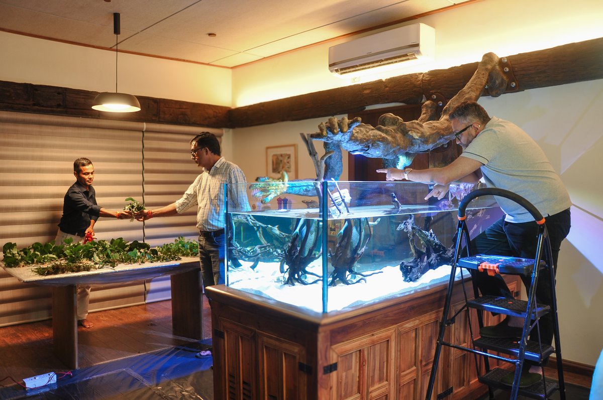 Instalando la decoración y el hardscape en un acuario grande recién montado